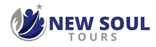 new-soul-logo